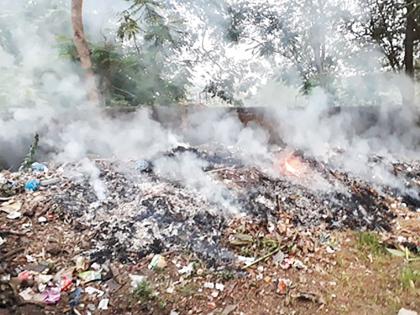 The memory burned down in the park | स्मृती उद्यानात पालापाचोळा जाळला