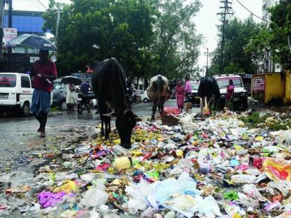 Garbage collection halted in half the city in Nagpur | नागपुरात अर्ध्या शहरातील कचरा संकलन ठप्प