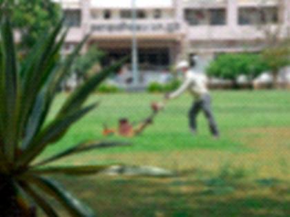 Garden cleaning | उद्यानाची स्वच्छता Garden cleaning | उद्यानाची स्वच्छता