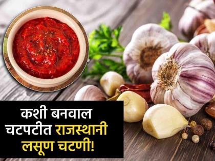 How to make Rajasthani garlic chutney, know the perfect receipe | नेहमीचा ठेचा, चटणी खाऊन कंटाळलात? घरीच बनवा चटकदार राजस्थानी लसूण चटणी!