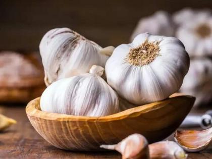 Hybrid garlic is beautiful to look at, while the taste of Gavaran garlic is very expensive | हायब्रीड लसूण दिसायलाच देखणा, तर गावरान लसणाची चव न्यारी किंमत भारी