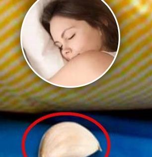 थंडीत सर्दी-खोकला सतत छळतो का? रोज झोपताना उशीखाली ठेवा लसणाची एक कळी, पाहा फायदे