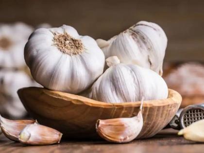 What caused the garlic shortage? These two states account for 80% of production | लसणाचं शॉर्टेज कशामुळे झालं? या दोन राज्यांतच होते ८०% उत्पादन