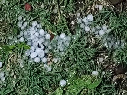 Sangrampur, Nandura, Jalgaon taluka with hailstorm | संग्रामपूर, नांदुरा, जळगाव तालुक्यात वादळासह गारपिटीचा तडाखा