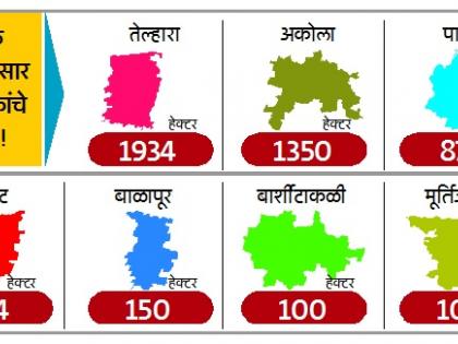 Akola: The hail struck the mouth! | अकोला : गारपिटीने पळविला तोंडाशी आलेला घास!