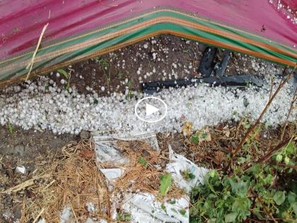 Hailstorm lashed Beed district; Heavy damage to crops and orchards due to unseasonal rains | बीड जिल्ह्याला गारपीटीने झोडपले; अवकाळी पावसाने पिकांसह फळबागांचे अतोनात नुकसान