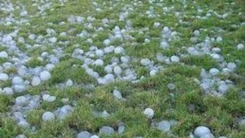 Pankanema slow down the loss of hailstorm in Washim district | वाशिम जिल्ह्यात गारपिटीच्या नुकसानाचे  पंचनामे संथगतीने