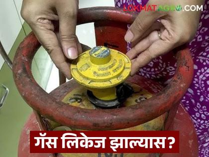Latest news gas leak issue If you smell LPG gas from your house, do this first, read in detail | जर तुमच्या घरातून एलपीजीचा वास येत असेल तर पहिल्यांदा हे काम करा, वाचा सविस्तर Latest news gas leak issue If you smell LPG gas from your house, do this first, read in detail | जर तुमच्या घरातून एलपीजीचा वास येत असेल तर पहिल्यांदा हे काम करा, वाचा सविस्तर