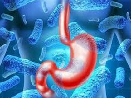 2 deaths due to gastro in Jawhar; 14 people undergoing treatment | जव्हारला गॅस्ट्रोचे २ बळी; १४ जणांवर उपचार सुरू 2 deaths due to gastro in Jawhar; 14 people undergoing treatment | जव्हारला गॅस्ट्रोचे २ बळी; १४ जणांवर उपचार सुरू
