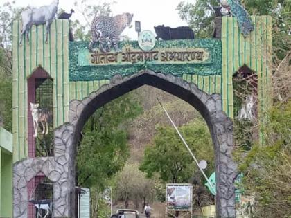 Attention tourists; Gautala Sanctuary closed till September 15, Forest Department orders | पर्यटकांनो लक्ष द्या; गौताळा अभयारण्य १५ सप्टेंबरपर्यंत बंद, वन विभागाचा आदेश