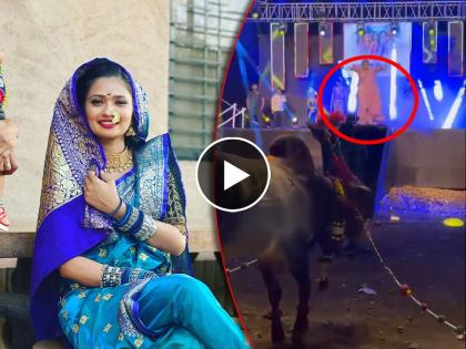 dancer Gautami Patil dances in front of bull in an event video went viral | हे काय नवीन! गौतमी पाटीलचा चक्क 'बावऱ्या' बैलासमोर डान्स, Video व्हायरल