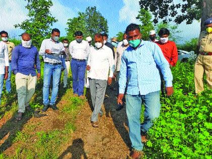 MP walking on the hilltop on tribal padas | डोंगरमाथ्याची वाट तुडवत खासदार आदिवासी पाड्यांवर