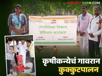 Latest News Farmer's daughter takes off in rural poultry farming, earns Rs 26 lakhs so far, read success story | Poultry Farming : कृषीकन्येची गावरान कुक्कुटपालनात भरारी, आतापर्यंत 26 लाखांचं उत्पन्न, वाचा यशोगाथा Latest News Farmer's daughter takes off in rural poultry farming, earns Rs 26 lakhs so far, read success story | Poultry Farming : कृषीकन्येची गावरान कुक्कुटपालनात भरारी, आतापर्यंत 26 लाखांचं उत्पन्न, वाचा यशोगाथा