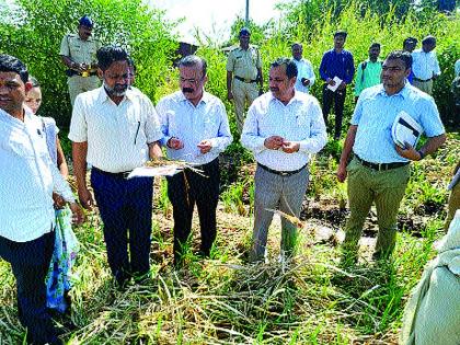 Rainfall of 3 crores to 3 crores of farmers over time | अवकाळी पावसाचा ५१ हजार शेतकऱ्यांना २१ कोटींचा फटका