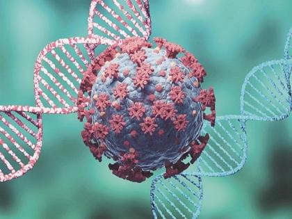 Omicron Variant : In Nanded Two Omicron-infected, who came from South Africa, administration alerted | Omicron Variant : नांदेडात दक्षिण आफ्रिकेतून आलेले दोघे ओमायक्रॉन बाधित, प्रशासन सतर्क