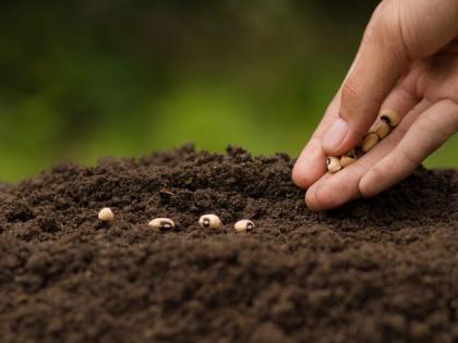 More than 4,000 farmers did sowing before the 'soil ball' | ‘मातीचा चेंडू’होण्यापूर्वीच ४ हजारांहून अधिक शेतकऱ्यांनी केली पेरणी