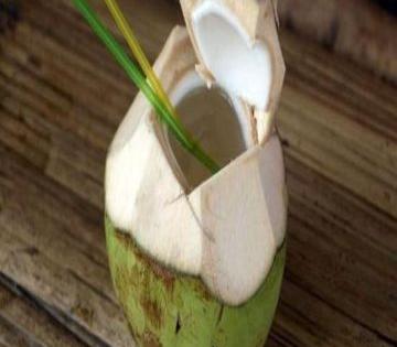 Coconut water benefits : नारळ पाण्याच्या सेवनाचे फायदे माहीत असतील दुष्परिणामही वाचा;  नारळपाणी पिण्याची योग्य वेळ कोणती? 