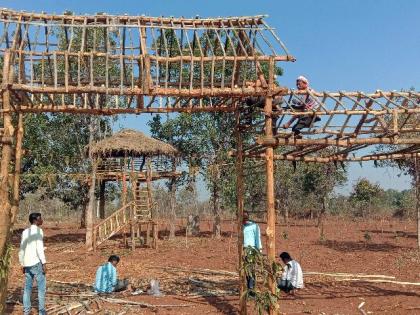 chorti gramsabha's unique planning of self reliance by planting fruit trees under forest rights act in village | अड्याळ टेकडीलगतच्या चोरटी गावाची फळझाडे लागवडीतून आत्मनिर्भरतेकडे वाटचाल