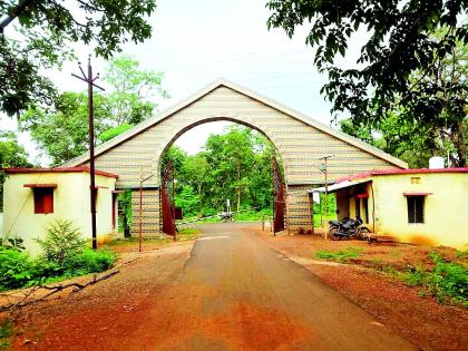 Ghodazari forest in Chandrapur district will be the new sanctuary | चंद्रपूर जिल्ह्यातील घोडाझरी जंगल होणार नवे अभयारण्य