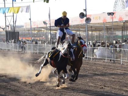 Attracted by 'Panjabi' acrobatics: Chetak Festival | ‘पंजाबी’ कलाबाजींनी वेधले लक्ष : चेतक फेस्टीवल