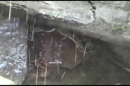 At Belanki, a life-threatening snake was trapped in a well for a month | बेळंकी येथे तब्बल महिनाभर विहिरीत अडकून पडलेल्या घोणस सापाला जीवदान