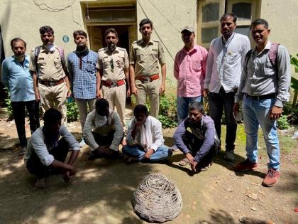 The forest department arrested four people who were preparing to sell Ghorpad | घोरपड विक्री करण्याच्या तयारीतील चौघांना वनविभागाने केले जेरबंद