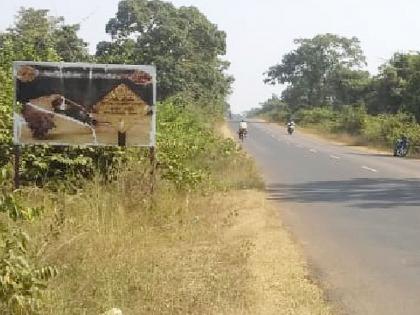 Gadchiroli: Not one of the 200 vultures has lovelash; Only the 'Conservation' message board remains | Gadchiroli: २०० गिधाडांपैकी एकाचाही लवलेश नाही; उरले केवळ ‘संवर्धन’ संदेशाचे फलक