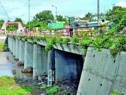 Structural audit of milling season bridges | गिरणा मोसम पुलांचे स्ट्रक्चरल आॅडिट