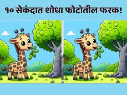 Optical Illusion: Only Genius people can spot the 3 difference in this Giraffe photo | Optical Illusion: जिराफच्या एकसारख्या दिसणाऱ्या दोन फोटोत आहे ३ फरक, शोधून दाखवा!