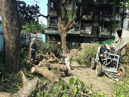 The ax on the tree in the Khanda area of in Karjat taluka | कर्जत तालुक्यातील नेरळच्या खांडा भागात झाडांवर कुऱ्हाड