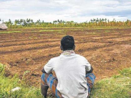 July dry; Now Madar over the next two months | जुलै कोरडा; आता मदार पुढच्या दोन महिन्यांवर