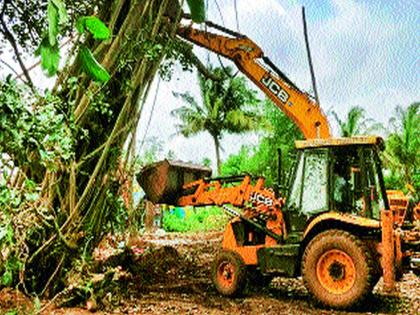 ... and that banyan tree stood up again | ...आणि तो वटवृक्ष पुन्हा उभा राहिला