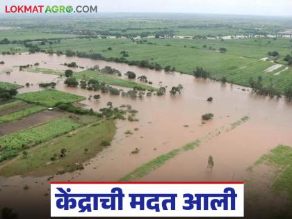 The second installment of assistance for flood victims has arrived from the central government; another installment will be coming soon | दिवाळी गोड! केंद्र सरकारकडून पूरग्रस्तांच्या मदतीसाठी दुसरा हप्ता आला; अजून एक हप्ता लवकरच येणार The second installment of assistance for flood victims has arrived from the central government; another installment will be coming soon | दिवाळी गोड! केंद्र सरकारकडून पूरग्रस्तांच्या मदतीसाठी दुसरा हप्ता आला; अजून एक हप्ता लवकरच येणार