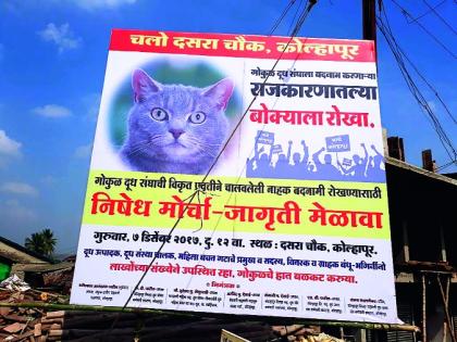 Do not take milk from politics, 'Bokki', till noon on Thursday for Kolhapur Morcha | दुधातील नव्हे, राजकारणातील ‘बोक्यांना’ रोखा, गुरुवारच्या कोल्हापूर मोर्चासाठी संचालकांनी कंबर कसली