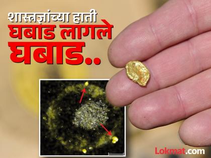 Cupriavidus metallidurans Bacteria found that can eat soil and excrete 24-carat gold; Scientists just won the lottery... | माती खाऊन २४ कॅरेट सोने बाहेर टाकणारा बॅक्टेरिया सापडला; वैज्ञानिकांची तर लॉटरीच लागली... Cupriavidus metallidurans Bacteria found that can eat soil and excrete 24-carat gold; Scientists just won the lottery... | माती खाऊन २४ कॅरेट सोने बाहेर टाकणारा बॅक्टेरिया सापडला; वैज्ञानिकांची तर लॉटरीच लागली...