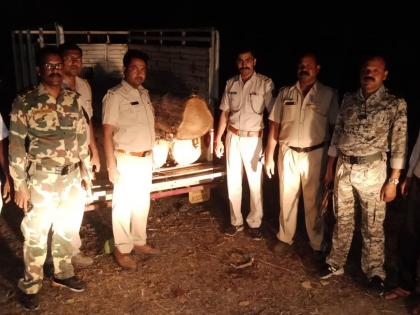 police seized one truck of teakwood in gondia | सागवानाची तस्करी करणारा मिनीट्रक पकडला; देवरी पोलिसांची कारवाई