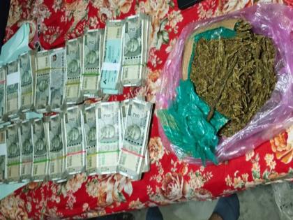 Went to seize ganja, 20 lakh cash and ganja were seized; Quality action by the local crime branch | पकडायला गेले गांजा, हाती लागले २० लाख रोख अन् गांजा; स्थानिक गुन्हे शाखेची दर्जेदार कारवाई Went to seize ganja, 20 lakh cash and ganja were seized; Quality action by the local crime branch | पकडायला गेले गांजा, हाती लागले २० लाख रोख अन् गांजा; स्थानिक गुन्हे शाखेची दर्जेदार कारवाई