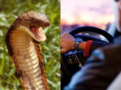 Uttar Pradesh King cobra snake suddenly got out of the moving car on the varanasi national highway | चालत्या कारमध्ये अचानक निघाला किंग कोब्रा, महामार्गावर उडाली एकच खळबळ अन्...