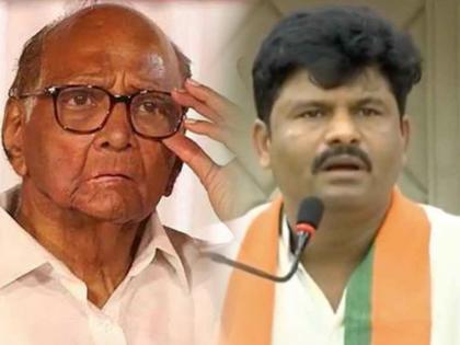 gopichand padalkar replied ncp sharad pawar supriya sule over bjp criticism | “पवारांची संस्कृती, संस्कार शिकला तर महाराष्ट्र आणखी मातीत जाईल”; पडळकरांचा घणाघात