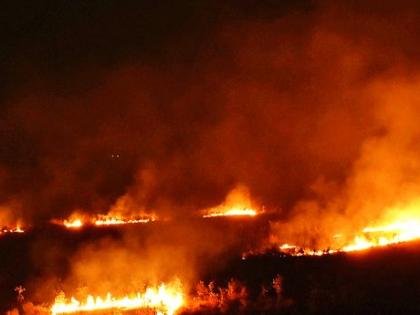 Gorewada forest in Nagpur cought fire | नागपुरातील गोरेवाडा जंगलाला भीषण आग