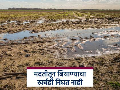 The government's announced aid for crops damaged by rain is a mockery of farmers Guntha gets only Rs 86 compensation | मदत नव्हे, ही तर शेतकऱ्यांची चेष्टाच; शासनाची गुंठ्याला ८६ रुपयेच भरपाई