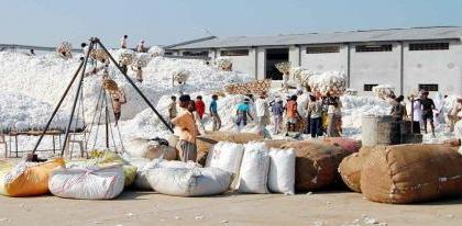 Government Cotton Purchase not responce from farmers | हंगामाच्या अखेरीसही शासकीय कापूस खरेदी निरंक