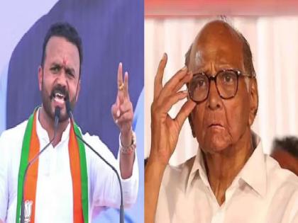 Sharad Pawar never trusted anyone, Criticism of MLA Jayakumar Gore | शरद पवार कधीच कुणाशी विश्वासाने वागले नाहीत, जयकुमार गोरेंचे टीकास्त्र