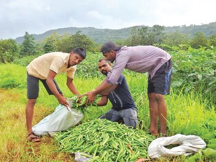 New model of graduating youth; Agriculture in a modern way | पदवीधर तरुणांचा नवा आदर्श; आधुनिक पद्धतीने शेती