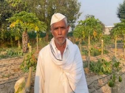 Father-in-law's papaya garden was destroyed because daughter-in-law won the election | निवडणुकीत सून जिंकल्यामुळे सासऱ्याची पपईची बाग केली उद्ध्वस्त