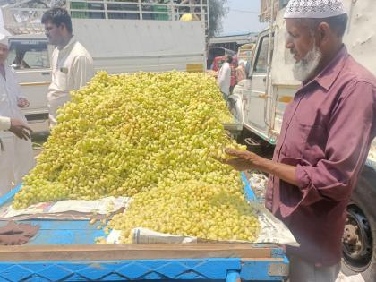 Biggest decline in grape prices in 10 years, producers in trouble pune market news | Pune | द्राक्षाच्या भावात १० वर्षातील सर्वात मोठी घसरण, उत्पादक शेतकरी अडचणीत