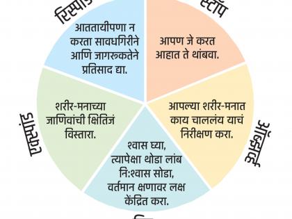 The story of a positive pizza! ... | ​​​​​​​होकारात्मक पिझ्झाची गोष्ट !...