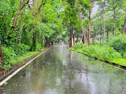 in mumbai bmc campaign for tree plantation will be done in open spaces fields and parks  | मुंबई होणार ‘एव्हरग्रीन’; मोकळ्या जागा, मैदाने, उद्यानांमध्ये होणार वृक्षलागवड 