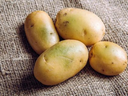 is it safe to eat green potatoes know from expert | Health tips: हिरवे पडलेले, कोंब आलेले बटाटे खावेत का? पाहा तज्ज्ञमंडळी काय सांगतात?