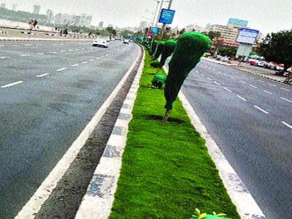 मुंबईतल्या रोपट्यांना वाचवतेय हिरवी जाळी - Marathi News | Saves the plants in Mumbai, the green mesh | Latest News at Lokmat.com